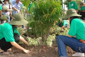 TP.HCM nỗ lực giảm nhẹ biến đổi khí hậu