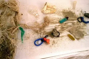 Mỗi người dân là một sứ giả “nói không với túi nhựa”