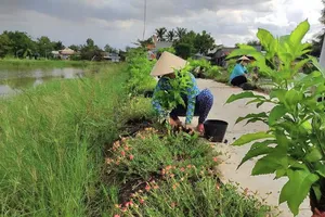 Huyện Bình Chánh: Xóa được nhiều điểm đen về rác
