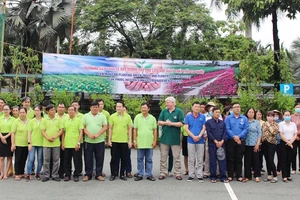 VWS trồng cây xanh và hoa dọc nhiều tuyến đường ở Đa Phước