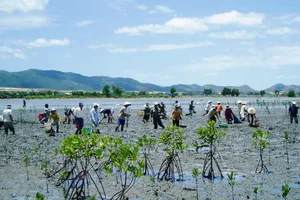 Kỳ vọng sẽ giải quyết triệt để các vấn đề môi trường