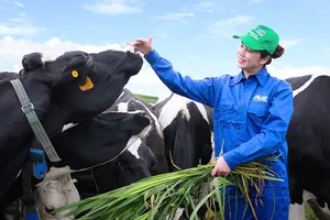 Mộc Châu Milk chính thức lên sàn UPCOM