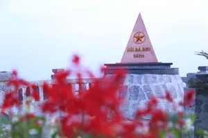 Giải chạy truyền cảm hứng xanh trên cung đường Tây Ninh