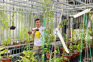 Tài Trần: khởi nghiệp tay trắng đến chủ vườn lan đột biến