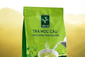 Danh Trà - địa chỉ cung cấp trà Thái Nguyên đúng chuẩn