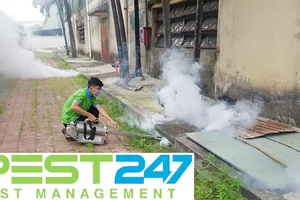 Khử Trùng Xanh: Tập đoàn chuyên xử lý “mối” uy tín phía Nam