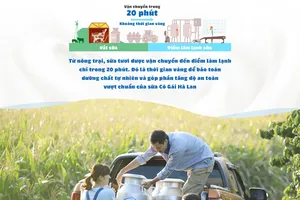 Lời giải bài toán dinh dưỡng của sữa Cô Gái Hà Lan