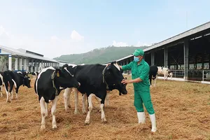 Vinamilk nhập khẩu hơn 2.100 con bò sữa từ Mỹ