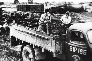 Petrolimex: 65 năm ghi dấu tiên phong trong từng bước lịch sử