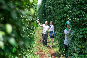 LienVietPostBank: Cho vay nông nghiệp là ưu tiên hàng đầu