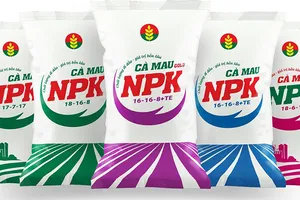 Phân bón Cà Mau ra mắt sản phẩm NPK một hạt