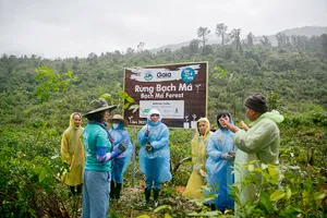 Manulife Việt Nam phát động chương trình ‘Góp email trồng rừng’