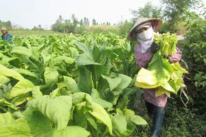 Đừng để thuế trở thành gánh nặng của người lao động hậu COVID-19