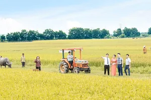 “Săn” tệp khách hàng riêng, LienVietPostBank tăng tốc số hóa, chạy đua bán lẻ