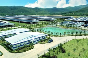 Tiêu dùng bền vững: xu hướng cần được thúc đẩy nhanh hơn