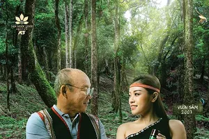 Nỗi lo trăn trở Sâm Ngọc Linh giả và hành trình bảo vệ ‘Quốc bảo Việt Nam’