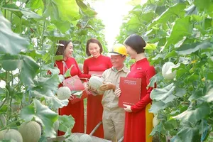 Agribank thúc đẩy tín dụng xanh, ngân hàng xanh, phát triển bền vững