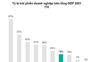 Bán tháo chứng chỉ quỹ: Thiệt hại đôi đường