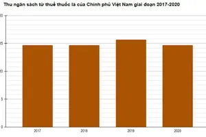 Cải cách thuế tiêu thụ đặc biệt: Chuyển đổi sang hệ thống thuế hỗn hợp là phù hợp