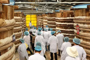 12 tháng ròng với 26.000 tấn cá, cho ra hàng triệu chai nước mắm Chin-su và Nam Ngư