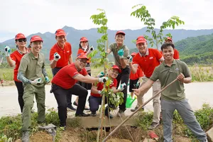 Dai-ichi Life Việt Nam triển khai dự án trồng cây xanh đô thị ở Đà Nẵng