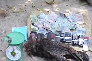 Vứt tiền tháo chạy khi cảnh sát vây ráp trường gà