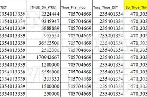 Thu nhập “khủng” một năm của Minh Hằng