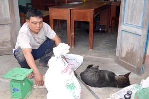 Rạng sáng, dân phục kích bắt kẻ trộm chó