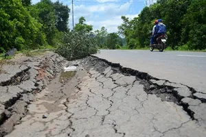 Xe chở gỗ quá tải 'đào mương' trên QL15D