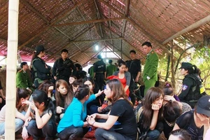 Hơn 30 'quý bà' đánh bạc giữa cánh đồng bị truy tố