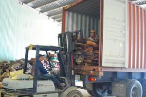 3 cán bộ hải quan để “lọt” vụ buôn lậu 614 m3 gỗ quý