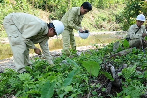Cuộc giải cứu nghẹt thở