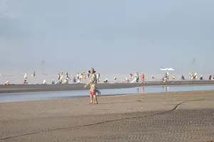 Tăng cường lực lượng bảo vệ bãi nghêu