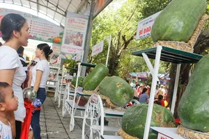 Bí đao nặng nửa tạ hút du khách