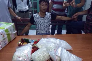 Đánh sập vụ vận chuyển hơn 7 kg ma túy từ Hải Phòng vào TP HCM