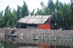 Người đàn ông khuyết tật bị sát hại, cắt mất "của quý"