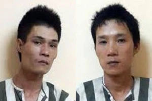Bắt hai tên giắt kiếm đi trộm chó ở Hà Nội