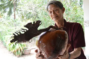 Gặp “vua dừa” trước chuyến đi Trường Sa