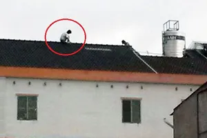 Tên trộm cố thủ 2 giờ trên mái nhà cao tầng