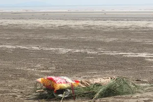 Phát hiện thi thể một bé trai bị sóng đánh dạt vào bờ