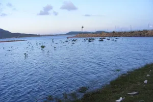 Hai chị em chết đuối tại hồ nuôi tôm