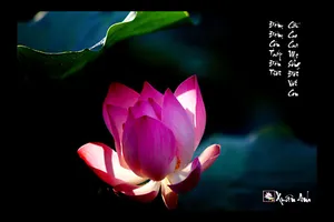 “Ngồi buồn nhớ mẹ ta xưa” - bài thơ hay viết về Mẹ