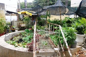 Xác chết nổi trên hồ nước trong khuôn viên bệnh viện