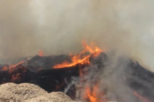 Cháy dữ dội trong Cảng Quy Nhơn