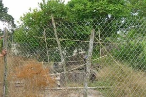 Đổ xô xin đào tìm vàng ở “kho báu” 1.500 kg vàng