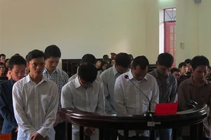 Chín bị can hầu tòa vì trộm 128 tấn bã đậu nành