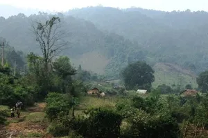 Lâm tặc đánh kiểm lâm nhập viện