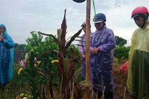 Vụ Cát Tường: Đã xác định được “chất lạ” dính trên thi thể chị Huyền