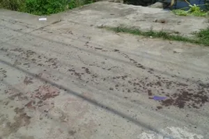 Dùng dao phay truy sát vợ đến chết rồi lên xe bỏ đi