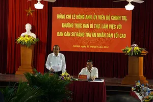 Kiến nghị Tòa trực tiếp thực hiện hoạt động điều tra